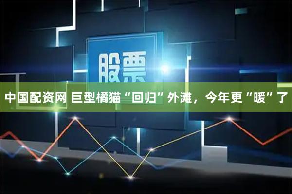 中国配资网 巨型橘猫“回归”外滩，今年更“暖”了